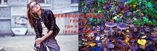 трава Бородино