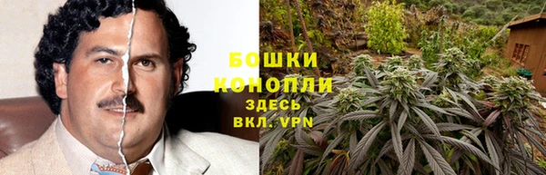 трава Бородино