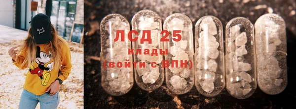 трава Бородино
