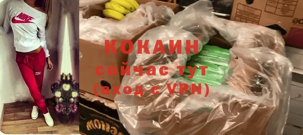 трава Бородино