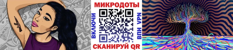 Псилоцибиновые грибы мухоморы  где купить наркоту  MEGA зеркало  Наволоки 